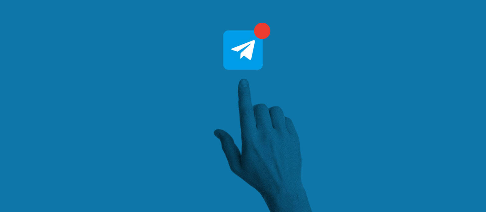 How to report a scam on Telegram Red Points
